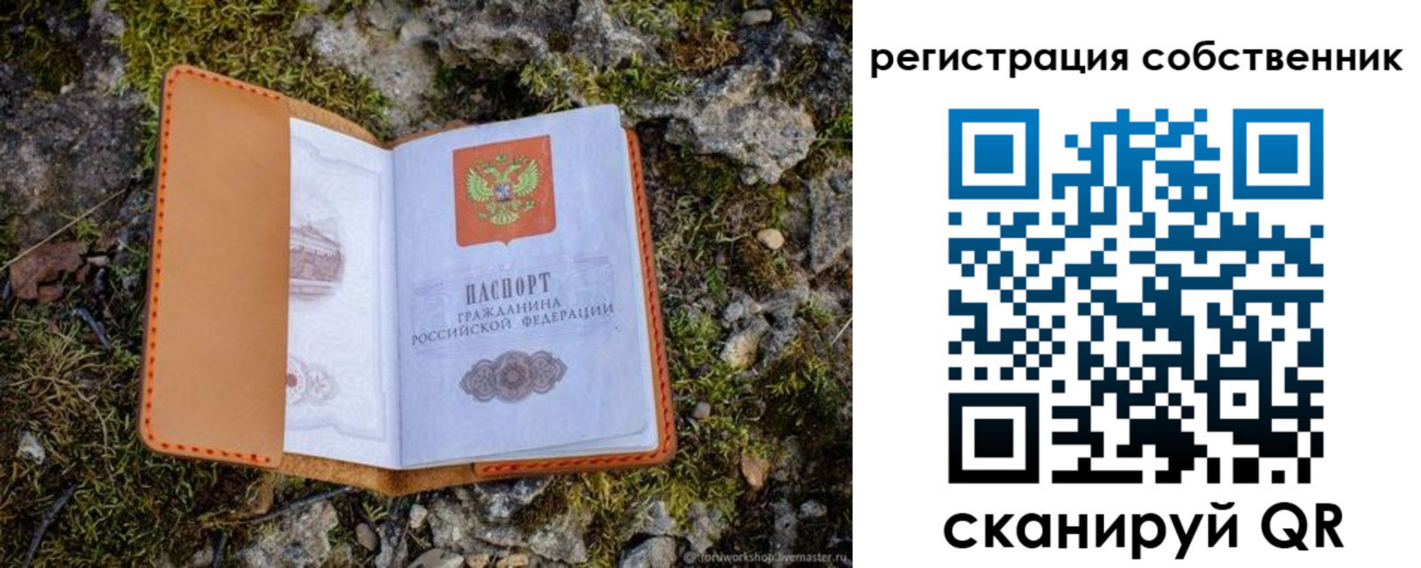 прописка поиск в Агрызе